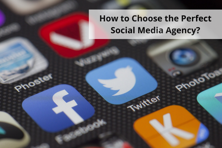 How to Choose the Perfect Social Media Agency?